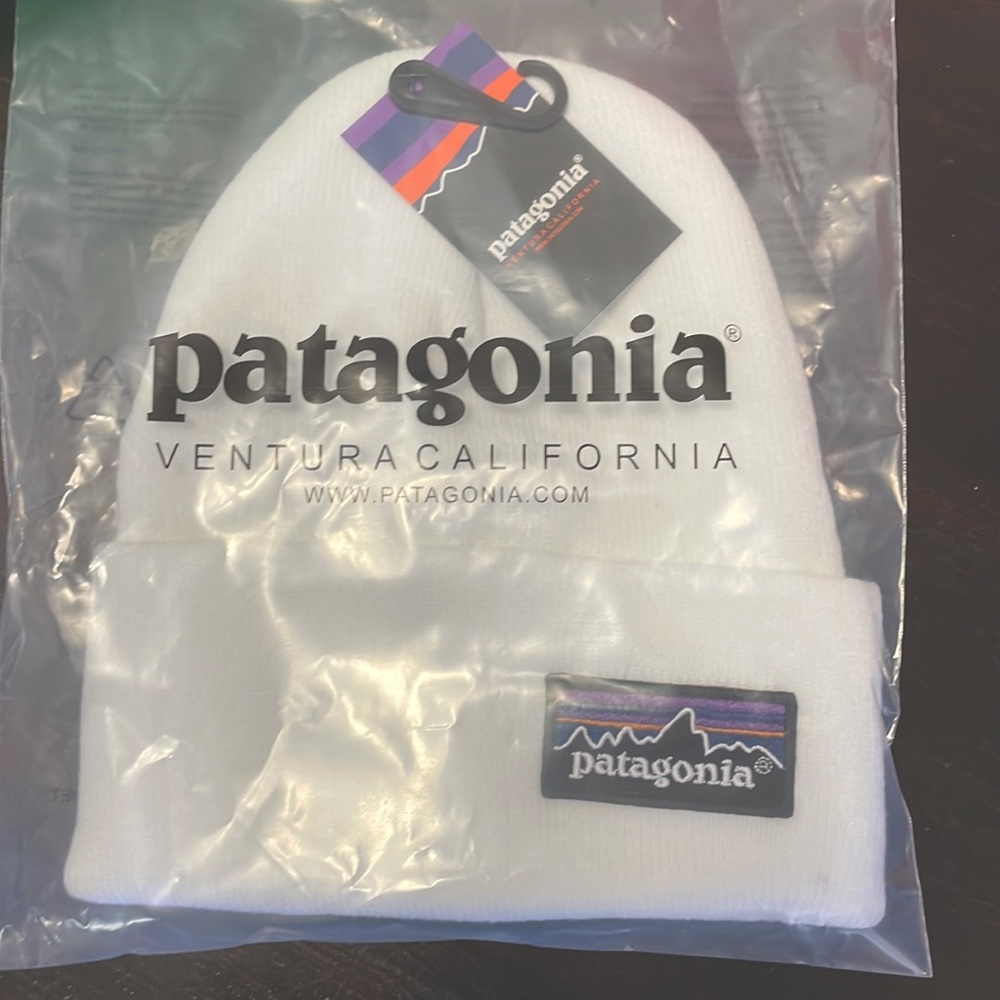 Patagonia beanie